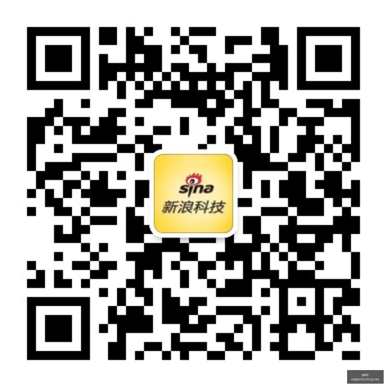 山东男篮重,大人事调整,邱彪正式晋,凯发K8网页版,凯发K8官网,凯发K8入口,凯发K8娱乐